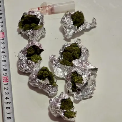 Под ръководството на Окръжна прокуратура – София се води досъдебно