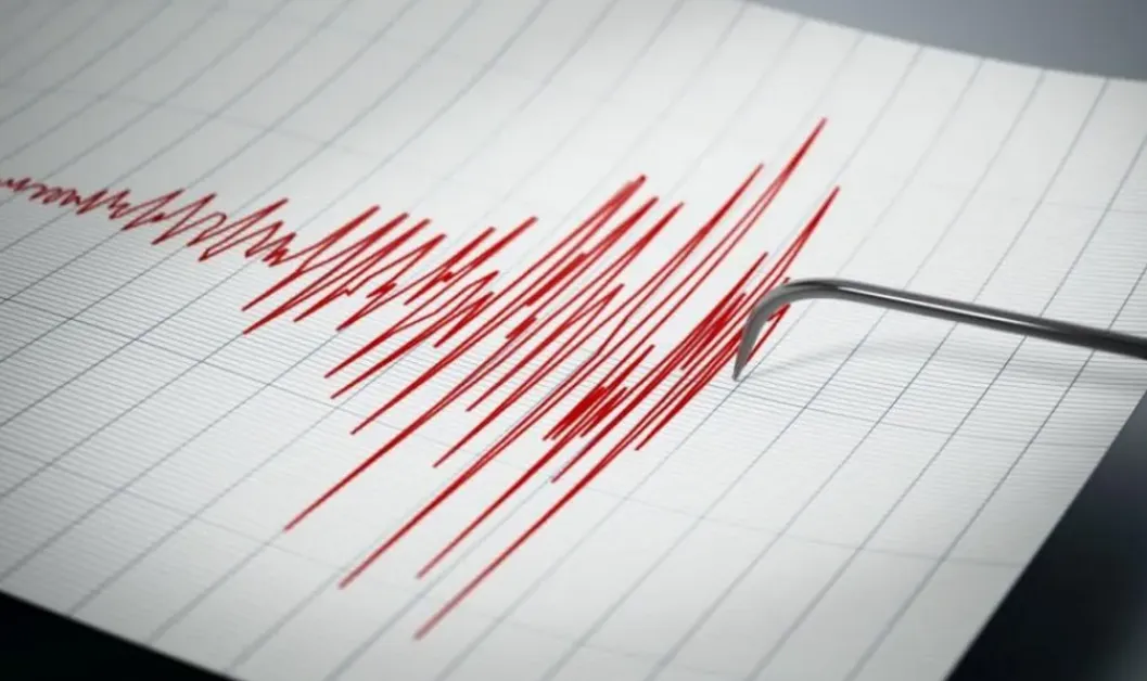 Слаб трус в Димитровградско