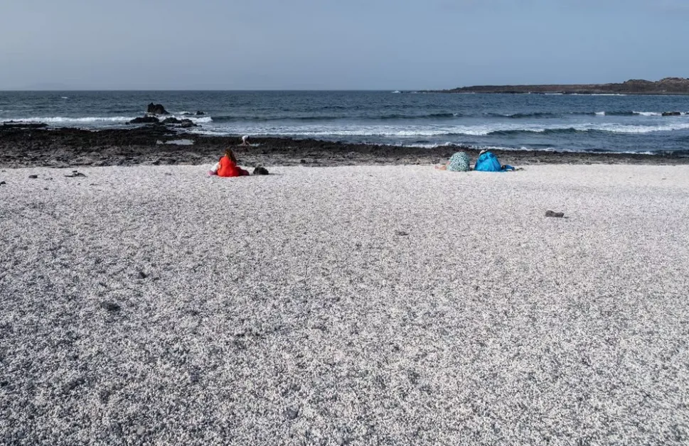 Това е един от най-странните плажове в света