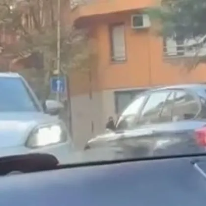 Броня в броня: Шофьор "принуди" друг да връща на заден, защитиха нарушителя ВИДЕО
