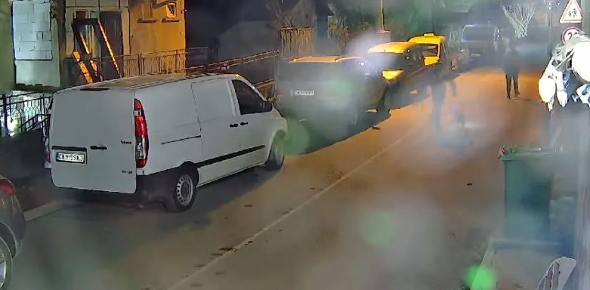 „Добро" куче, пуснато без повод, разкъса домашно коте