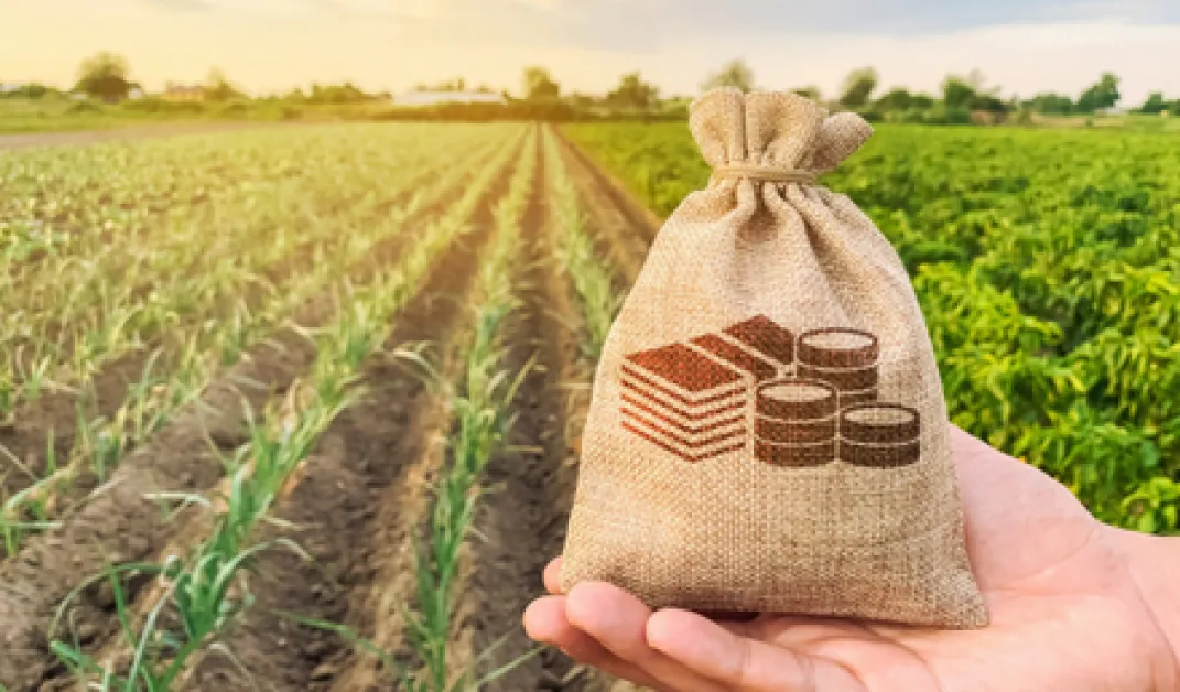 Европрокуратурата разследва измами със селскостопански субсидии у нас