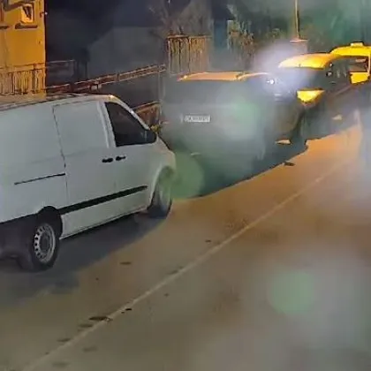 „Добро" куче, пуснато без повод, разкъса домашно коте