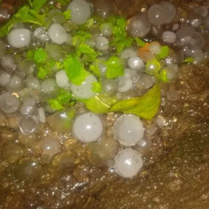 Силна градушка валя в Петрич ВИДЕО