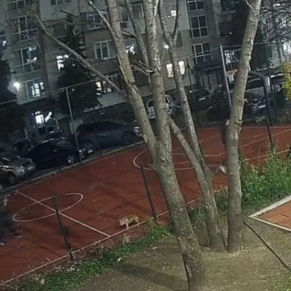 Столичани разхождат кучета в спортни площадки, кмет отправи призив СНИМКА