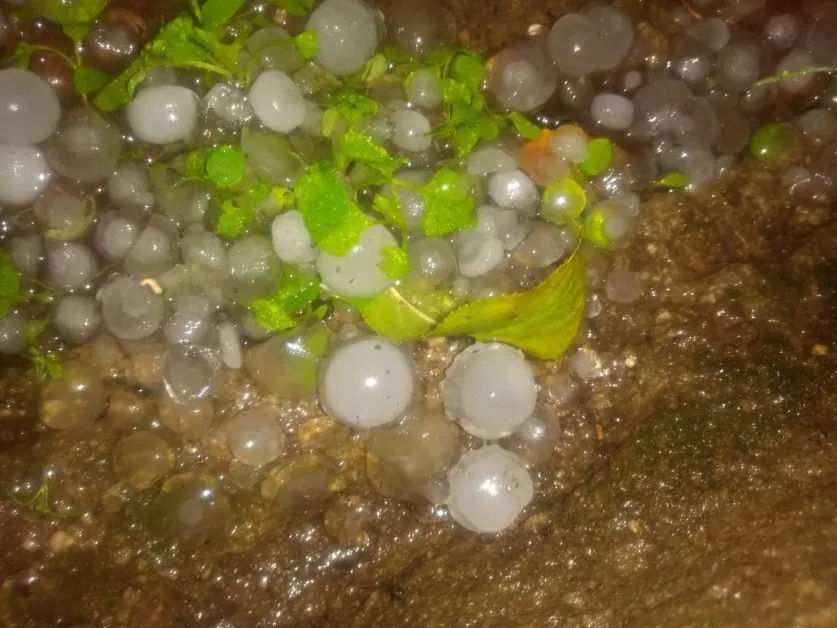 Силна градушка валя в Петрич ВИДЕО