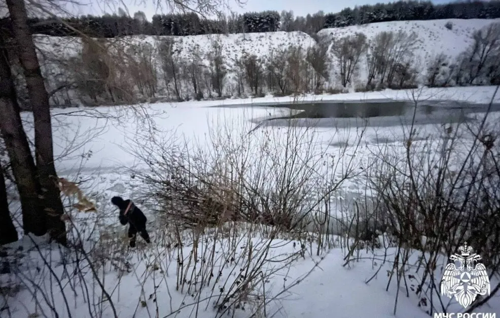 Две момченца паднаха под леда на замръзнала река, спасиха едното по чудо