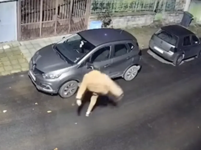 "Кикбоксьор" изля гнева си върху страничните огледала на десетина автомобила ВИДЕА