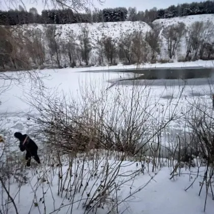 Момчета на 10 и 12 години паднаха под леда на