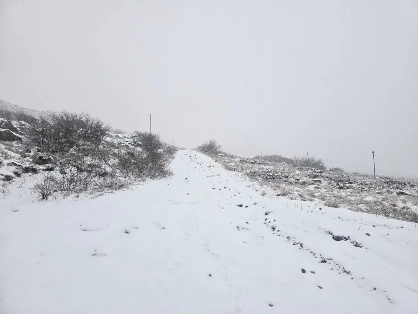 Бяла приказка! Сняг падна над София СНИМКИ