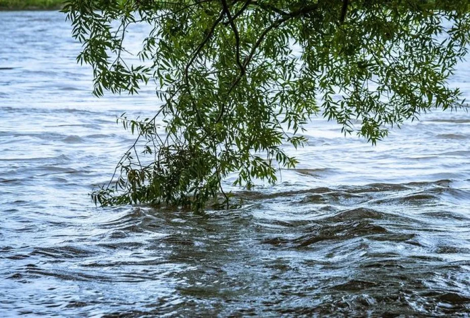 Рязък скок в нивата на наши реки, съществува ли риск?