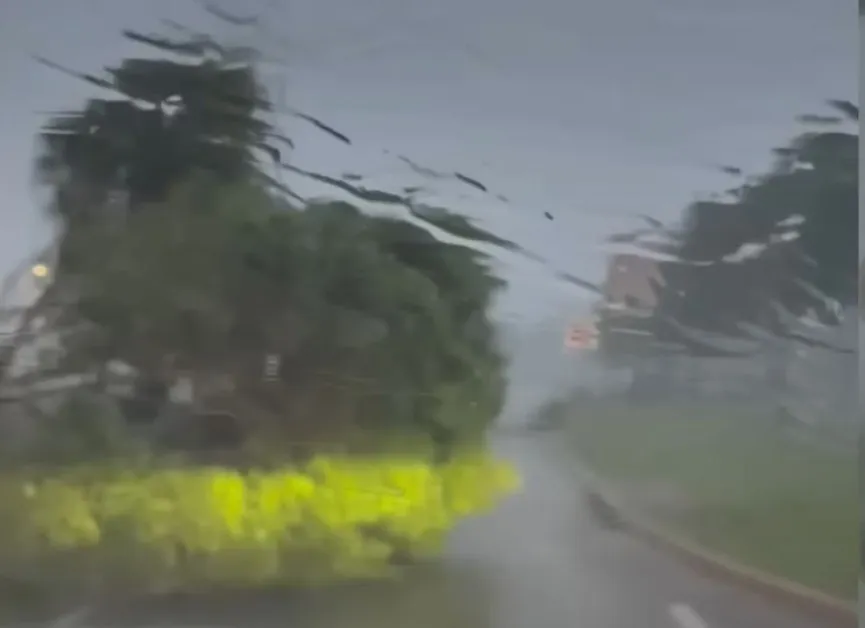 Циклонът Фина връхлетя с 205 км/ч, остави 19 хиляди без ток ВИДЕО