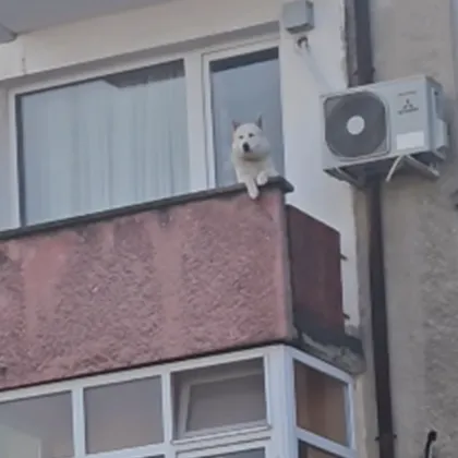 Публикация във Facebook от 23 ноември разпали сериозна дискусия в