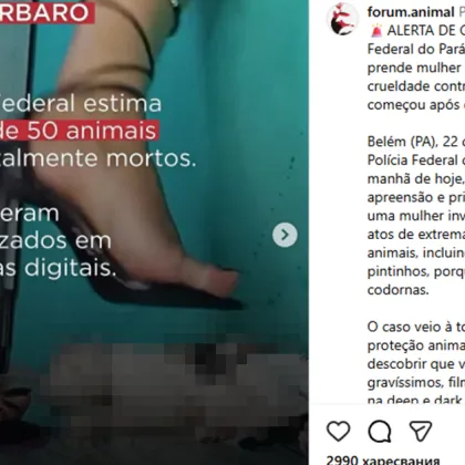 Бразилската федерална полиция е разбила престъпна схема за продажба на видеа с