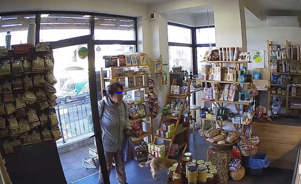 Дама с кученце си "напазарува", но не плати СНИМКИ