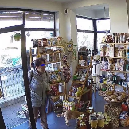 Дама с кученце се изложи посред бял ден в софийски