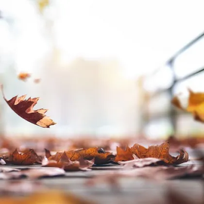 Обявиха жълт код за силен вятър в половин България