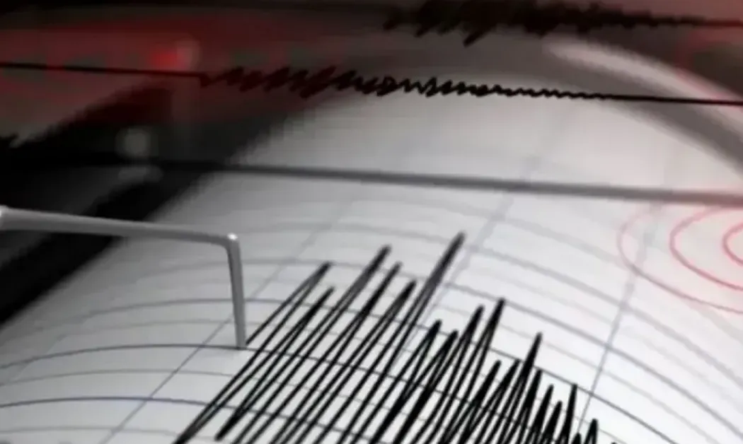 Силно земетресение удари Япония