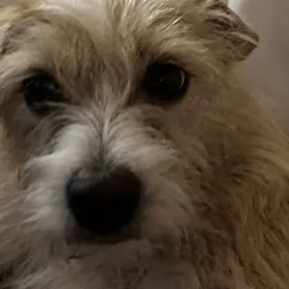 Опасен инцидент се е случил тази сутрин в столичния квартал