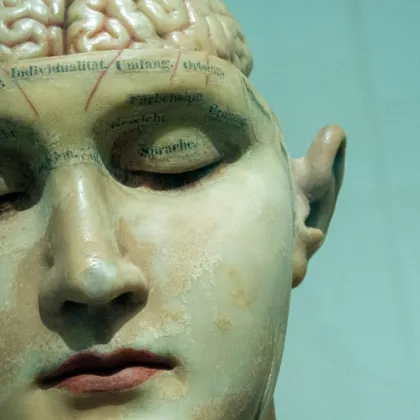 Новo изследване на невролози от Университета в Кеймбридж показва че