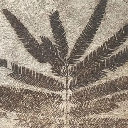 Историята на много от любимите днес храни и напитки води