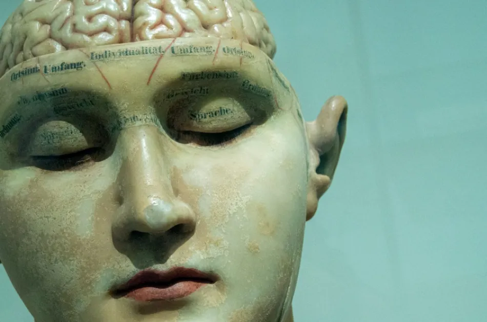 Мозъкът не просто старее – той преминава през четири големи „епохи" на промяна