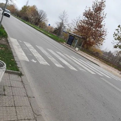 Пешеходна пътека в Пловдив предизвика недоволство сред жители на града