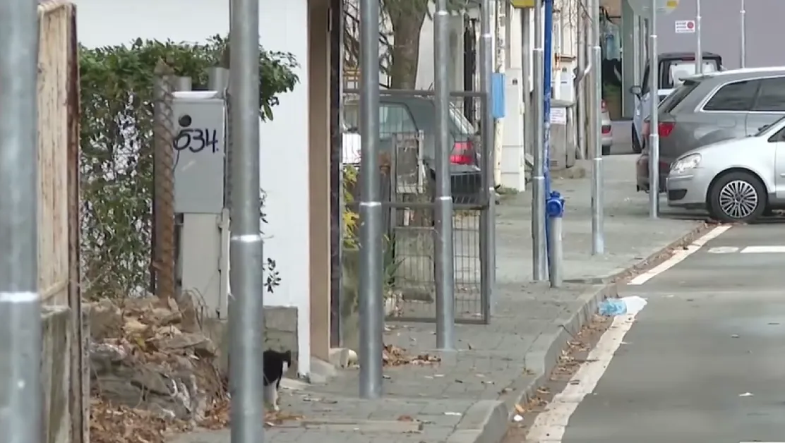 Интересно? Поставиха стълбове в средата на тротоар в Благоевград