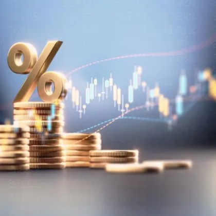 С оглед въвеждане на еврото като национална валута и прекратяване