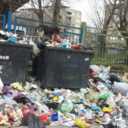 Временна организация на сметосъбирането в квартали на София