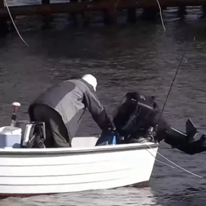 Точно след седмица ще отбележим един от най големите български празници