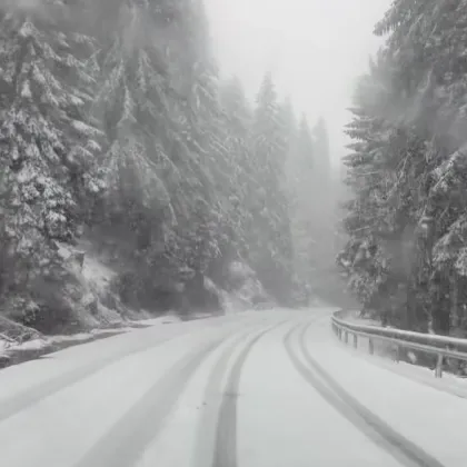 Сняг трупа в Смолянско СНИМКИ