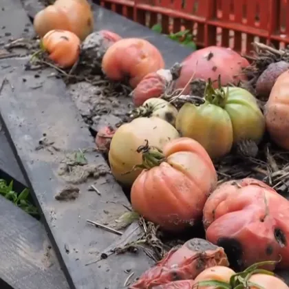 Тежки водни бедствия белязаха последните дни от седмицата В Югозападна