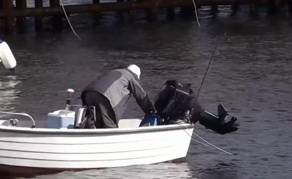 Ще имаме ли българска риба на трапезата за Никулден