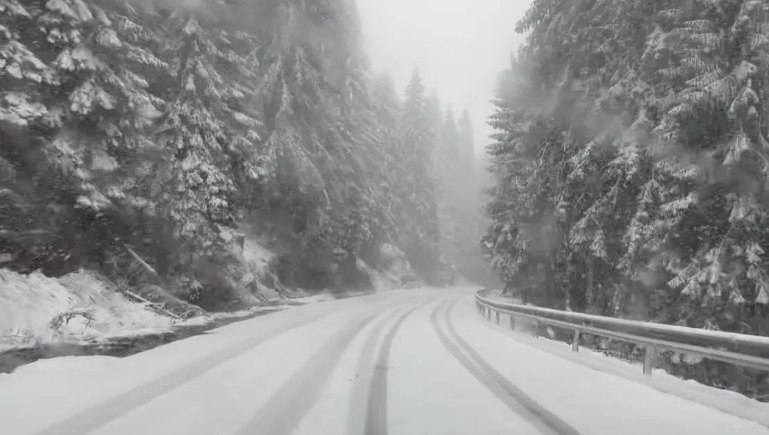 Сняг трупа в Смолянско СНИМКИ