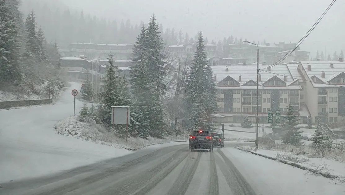 Зимна идилия в Пампорово: Вижте красотата на курорта в снежни кадри