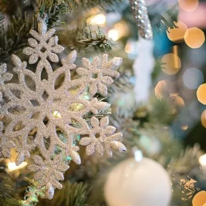 Обявиха кога ще грейнат светлините на празничната елха в София