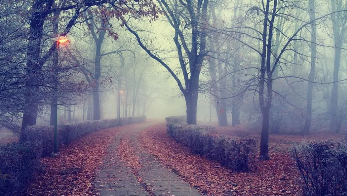 Мъгла и разкъсана облачност над страната