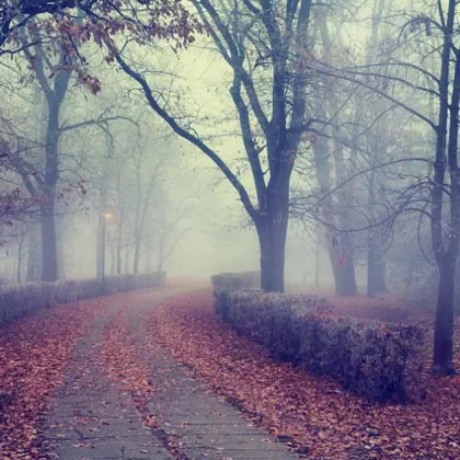 Днес над страната ще има разкъсана средна и висока облачност Преди