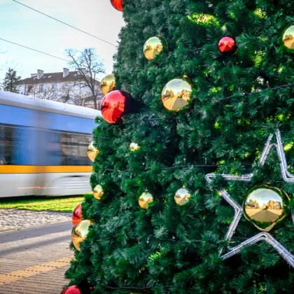Първи декември е денят в който традиционно палим светлините на празничната