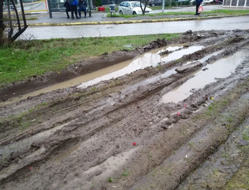 Камиони преораха полянка в София, превърнаха я в кално петно СНИМКИ