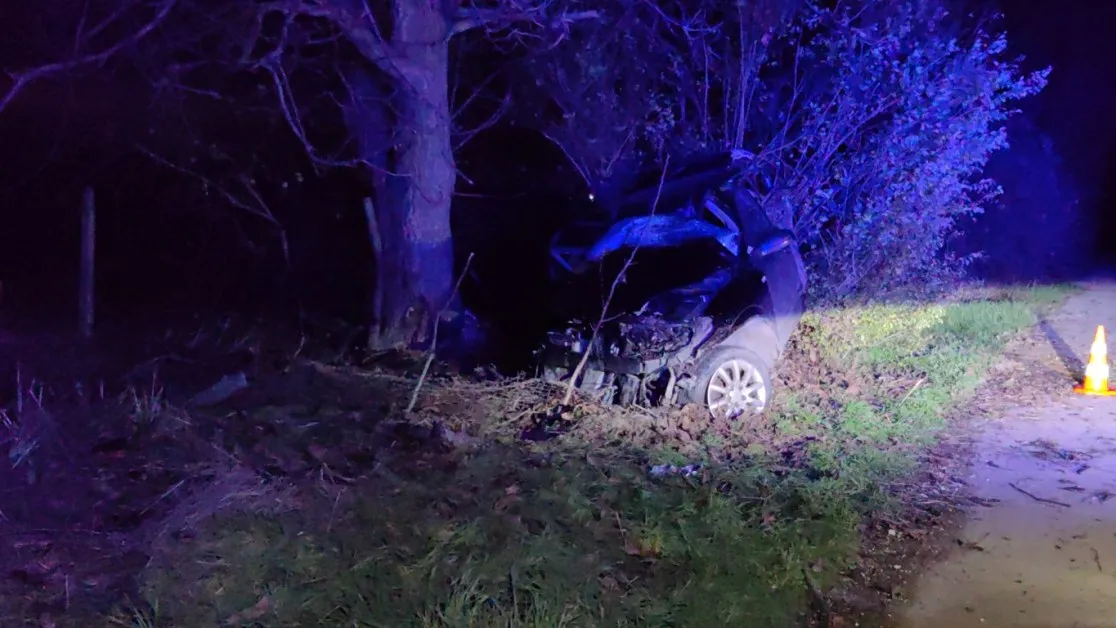 Кошмар за секунди: нови подробности за жестоката катастрофа, при която загина момиче