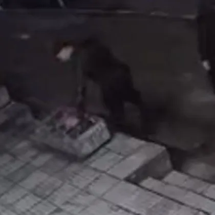 Асеновградски джентълмен реши да е романтичен погазвайки чуждия труд За