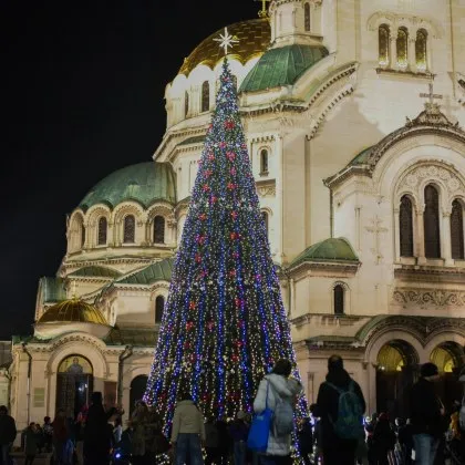 Празничната елха на София в сърцето на града – на