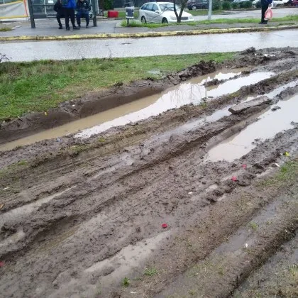 Камиони преораха полянка в София, превърнаха я в кално петно СНИМКИ