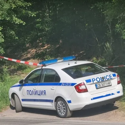 Откриха разчленен труп в гората край лудницата във Враца Случаят е
