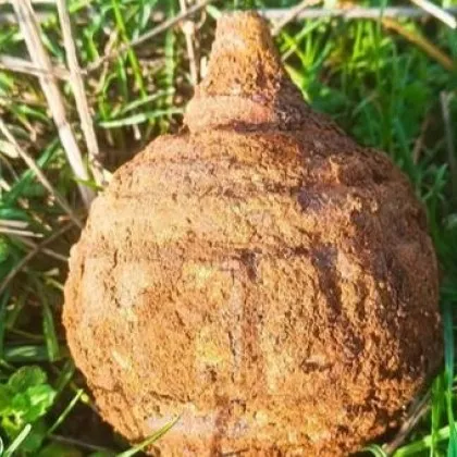 Откриха невзривена граната, използвана в Балканските войни