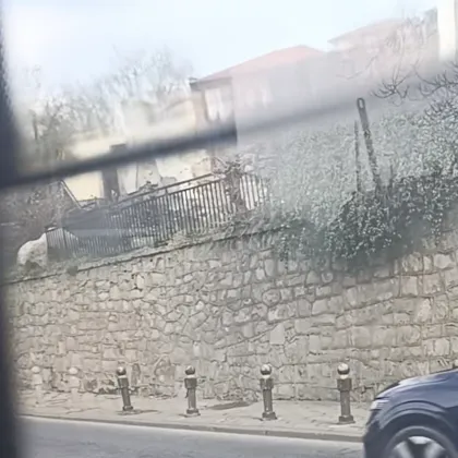 Пловдивчанин показа: прозорец в градски автобус пълен с вода! ВИДЕО