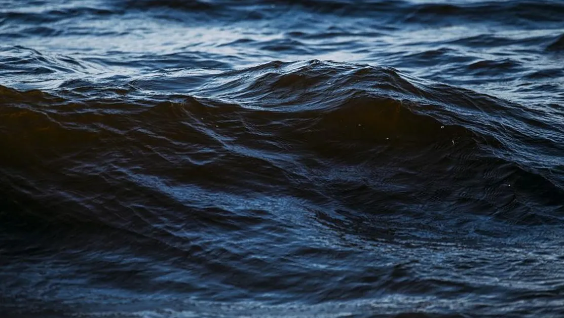 Два неидентифицирани обекта плават в Черно море, военните ги следят