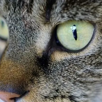 Дама отправи притеснително предупреждение в социалните мрежи Мария Атанасова разказва